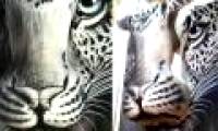 20 real fake fake pictures A visual fool made you dizzy