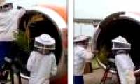 20,000 bees make 3 flights not take off