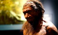 200,000-year-old tar furnace operated by another species revealed