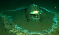 25,000 barrels of undissolved pesticides on the seabed
