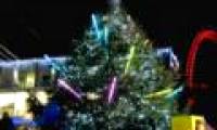 25,000 East-dwelling parasites on every Christmas tree