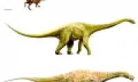 3 new fossils bring Australia back to the dinosaur map