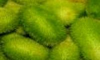 3 types of fruits that are not so, prove sometimes do not believe in your eyes