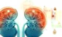 3 warning signs of inflammatory kidney disease, not to develop into kidney failure you are new