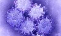30-year-old young men die from H1N1