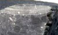 4.5 billion year old meteorite revealed life on Mars