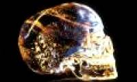 5 artifacts 'fake' cause 'shake' of the world