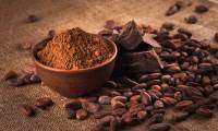 5 benefits of cocoa not everyone knows