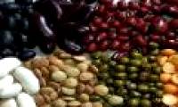 5 dishes from diabetes room beans