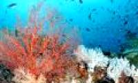 5 facts proving that the ocean is moving in a way that people cannot understand