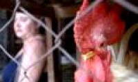 5 mutations make bird flu a pandemic