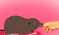 5 terrifying predators in nature
