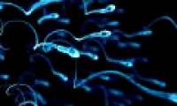6 characteristics of men with good sperm, easy to give birth