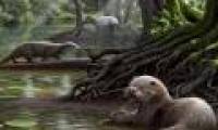 6 million years ago, this giant otter appeared on Earth