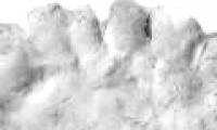 6-fingered limbs are 'fashion' in ancient America