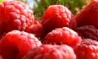 7 fiber-rich vegetables you should know