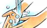 7 important principles in body hygiene