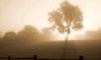 7 types of fog are common in nature