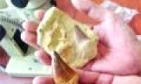 70 million year fossils in mail from the United States