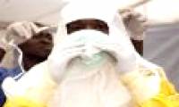 70% of emerging infectious diseases are caused by animal transmission