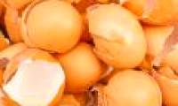 8 unexpected effects of eggshell