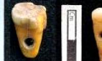 8,500-year-old human teeth found to be used as jewelry
