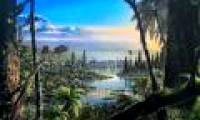 90 million years ago, West Antarctica was a vast rain forest