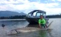 9-year-old boy caught giant white sturgeon