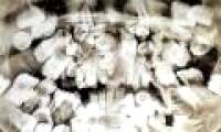 9-year-old boy has strange symptoms, up to 300 teeth