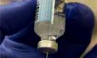 A breakthrough in preparing malaria vaccines