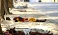 A bunch of hot 'scorching' photos of India, more than 600 people died