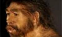 A close-up picture of the original human image
