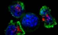 A drug for children can help treat cancer effectively