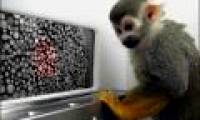 A method to cure color blindness has been found