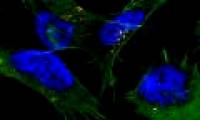 A new step in controlling the disease could result in 13.8 million deaths