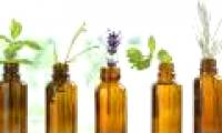 A plant compound helps heal wounds