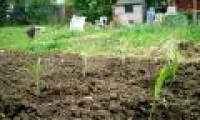 A quarter of the world is degenerating