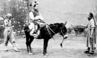 A series of photos of the noble lives of women during the Qing Dynasty: Some dressed up to take pictures, others gathered to chat with their sisters.