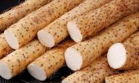 A type of dried tuber is a 'longevity medicine' that helps nourish the kidneys and effectively control blood sugar