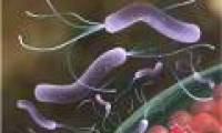 Add a simple measure to prevent stomach cancer