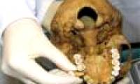 Add new findings from ancient Egyptian mummies