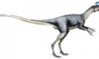 Admire the dinosaur museum in China