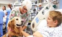 Adorable study: 'Therapeutic dogs' relieve physical pain in just 10 minutes