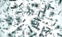 AI and robots help us find new 6000 viruses