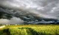 AI real-time accurate weather forecast