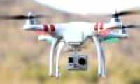 Aircraft crashed into turtles more than crashed into drones