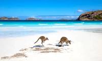 Alarm about seawater encroachment on sand dunes in Australia
