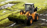 Algae can survive in a Mars-like environment