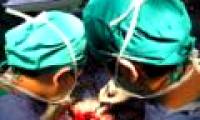 Alzheimer's disease and Parkinson's are not contagious