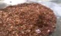 Amazingly huge ants fire floating in the super typhoon in America